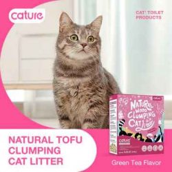 Searching For Best Automatic Cat Litter