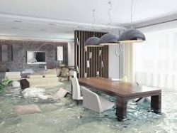 How Do Professional Water Damage Services Work?