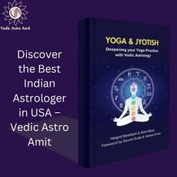 Discover the Best Indian Astrologer in USA – Vedic Astro Amit