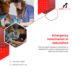 Emergency Veterinarian In Abbotsford is available to help your pets