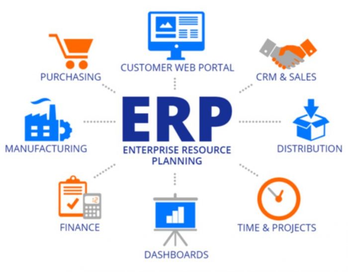 Why Choose ERP Software for Your Business Needs