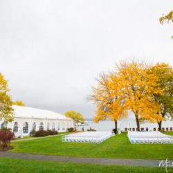 Folding Wedding Chairs