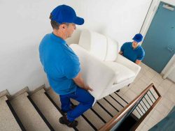 Trusted Furniture Moving Service in Singapore – Avante Mover