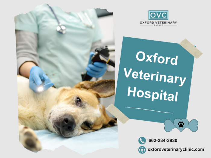 Best Care for Your Pets in Oxford Veterinary Hospital