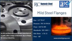 Mild Steel Flanges