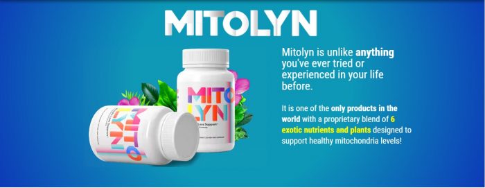 Experience Better Wellness: Honest Mitolyn Reviews