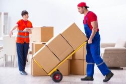 Top Movers and Packers in Singapore for a Stress-Free Move