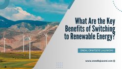 Oneal Omatseye Lajuwomi: What Are the Key Benefits of Switching to Renewable Energy?