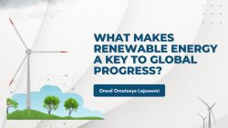 Oneal Omatseye Lajuwomi: What Makes Renewable Energy a Key to Global Progress?