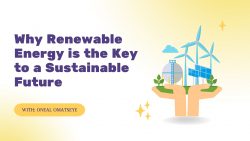 Oneal Omatseye: Why Renewable Energy is the Key to a Sustainable Future