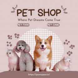 Adorable Toy Poodles for Sale in India – Your Perfect Companion!