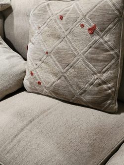 Professional Upholstery Cleaning in Kellyville