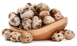 Top Supplier of Quail Eggs in Singapore