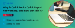 Troubleshooting QuickBooks Quick Report When It’s Not Working