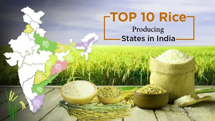 Highest Rice-Producing States in India