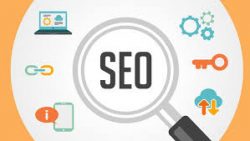 How to Choose the Right SEO Company in the U.S. for Your Business Needs