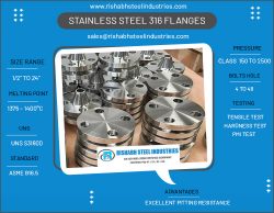 Stainless Steel 316 Flanges