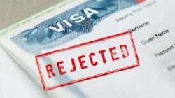 Visa Appeals and Solutions in Harrow: Overcoming Refusals with TMC Solicitors