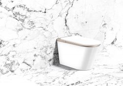 Revolutionize Bathroom Comfort with the Wall Mounted Smart Bidet Toilet