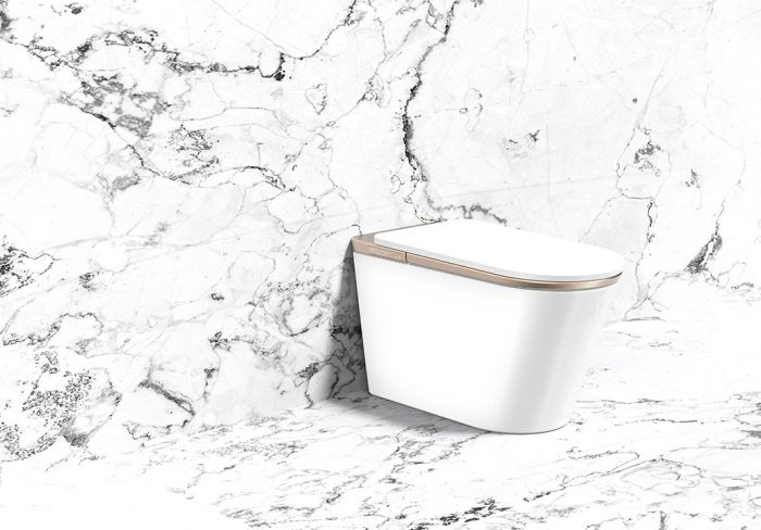 Revolutionize Bathroom Comfort with the Wall Mounted Smart Bidet Toilet