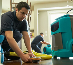 The Ultimate Guide to Preventing Mold Growth After a Flood