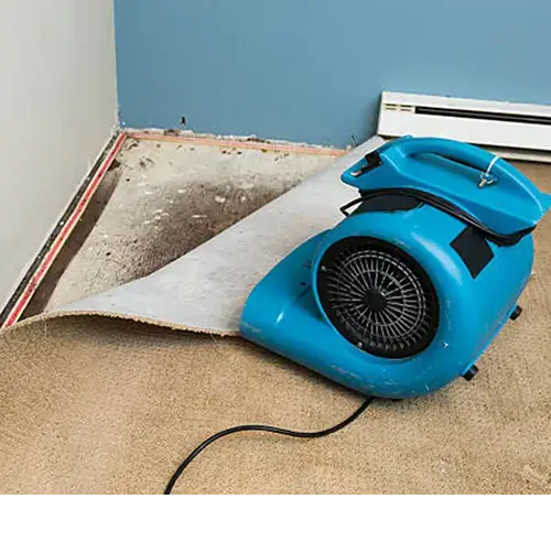 Key Equipment for Successful Flood Cleanup