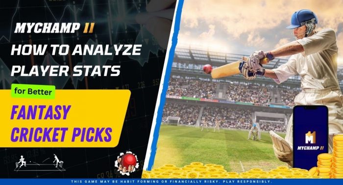 How to Analyze Player Stats for Better Fantasy Cricket Picks