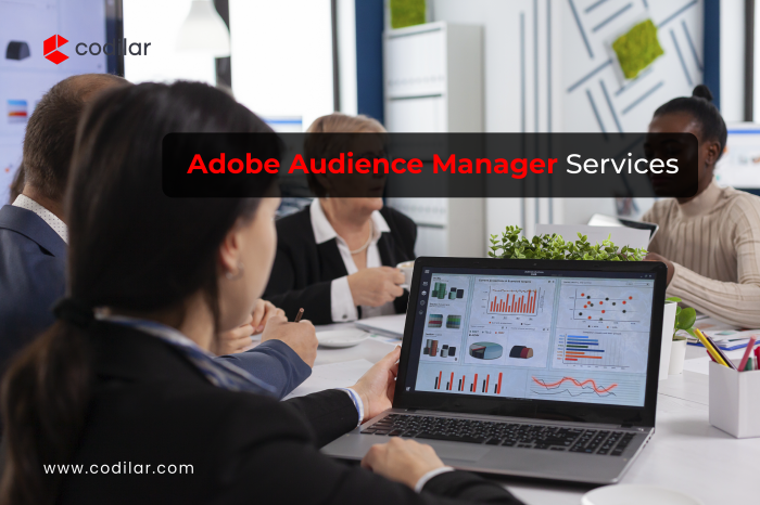 Transform Your Marketing with Adobe Audience Manager Services