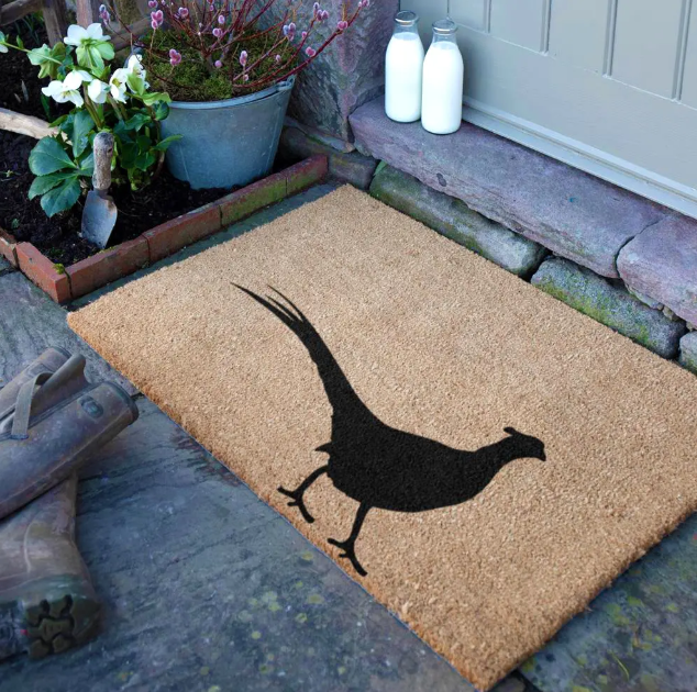 Animal Print Doormat: Add a Wild Touch to Your Entryway