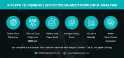 6 Steps to Conduct Effective Quantitative Data Analysis