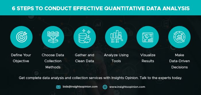 6 Steps to Conduct Effective Quantitative Data Analysis