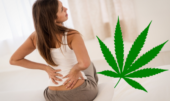 Forever Hemp Gummies Australia: A Trusted Solution for Pain, Anxiety, and Stress Relief