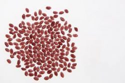 Looking For Best Magic Pop Pellet Online