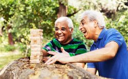 Best Health Insurance for Senior Citizens in India With Coverage for Organ Transplants