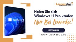 Holen Sie Sich Windows 11 Pro Kaufen– Nur Bei Lizenzdoc!