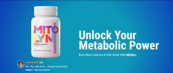 Mitolyn Weight Loss Support: Your Key to Sustainable Fat Loss