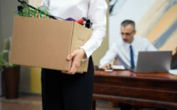 Searching Top Moving Companies Near Me Local Move