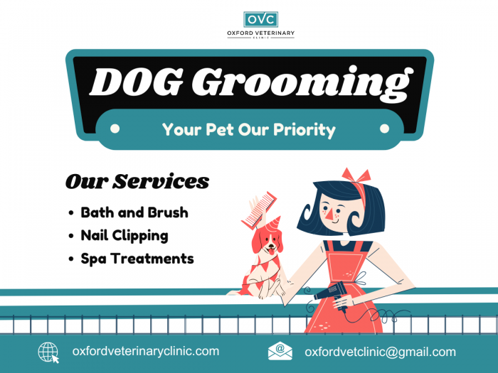 Expert Dog Grooming in Oxford MS