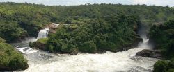 Book a Murchison falls safari