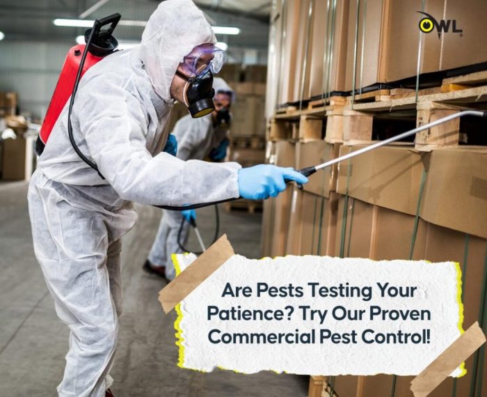 Pest Control Services Dublin by Professionals