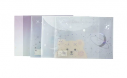 Plastic Single Document Button Bag