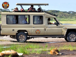 Discover Tanzania with the Best Safari Operators