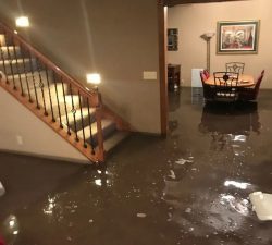 Signs You Need Basement Flood Cleanup Services