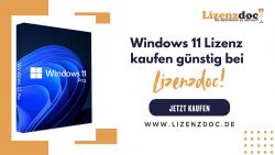 Windows 11 Lizenz kaufen günstig bei LizenzDoc