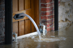 Common Water Cleanup Mistakes to Avoid in Mississauga