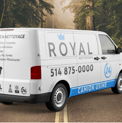 Signs You Need Professional Water Damage Service in Kitchener