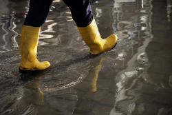 Expert Water Damage Service Providers in Mississauga