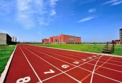 PU Sport Track and Sport Floor Coating