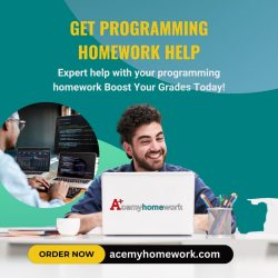 Want the Best Programming Homework Helpers?