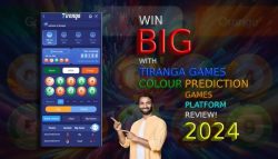 Expert Color Prediction Game Developers | Top Colour Prediction Game Development